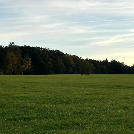 Ferienwohnung Im Usseltal - Zirben Spa - Monheimer Alb - Altmuehltal - Familie Geyer Daiting Monheim  Eksteriør billede